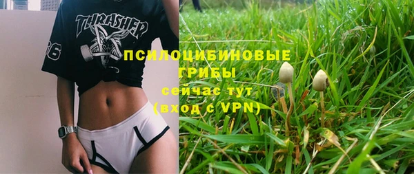 тгк Алексин