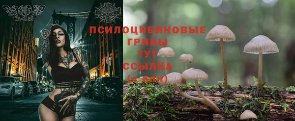 тгк Алексин