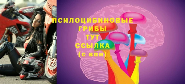 бутират Алзамай