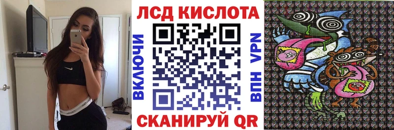 купить наркотик  Фролово  гидра маркетплейс  Марки 25I-NBOMe 1,8мг 