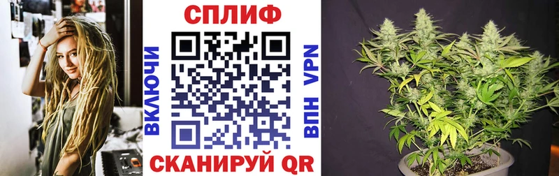 Конопля Ganja  Фролово 